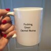 Fkin great dental nurse| funny mug gift for nurse - 15 oz